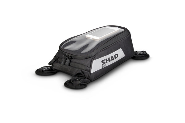 Shad