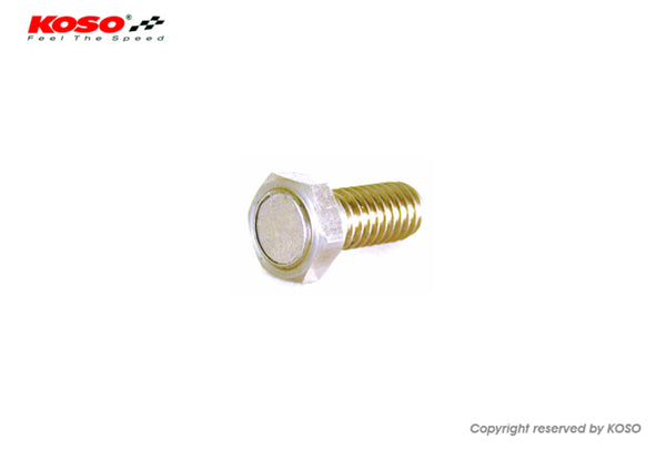 Koso Disc Magnet Screw BF010600