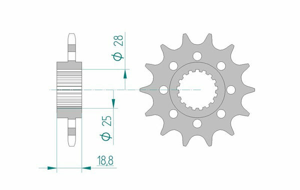 AFAM Steel Standard Front Spook 61601 - 520 61601-15