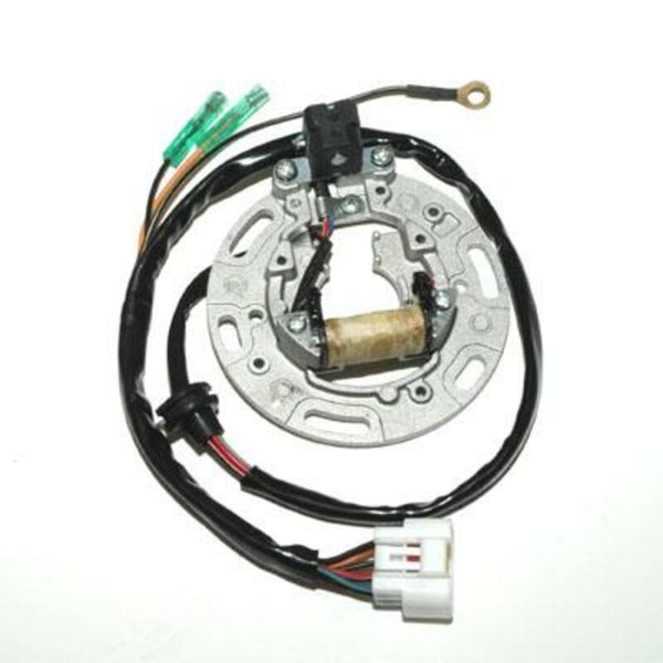 Electrosport Stor - Kawasaki ESC1366