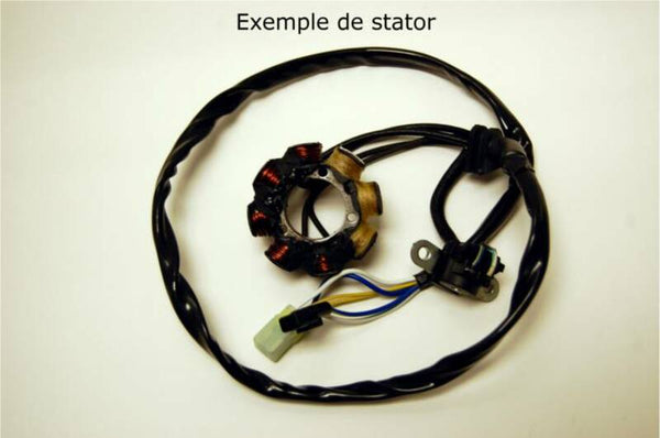 Electrosport Stor - KTM ESC221