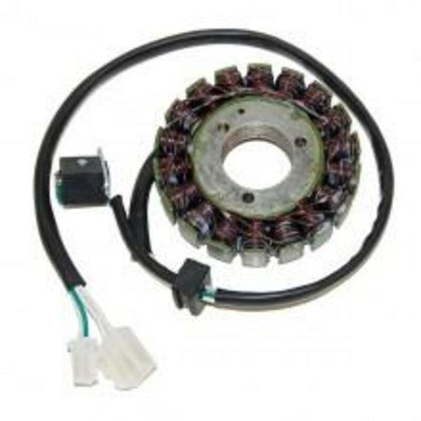 Electrosport Stor - Suzuki DL650 V -Storm ESG847