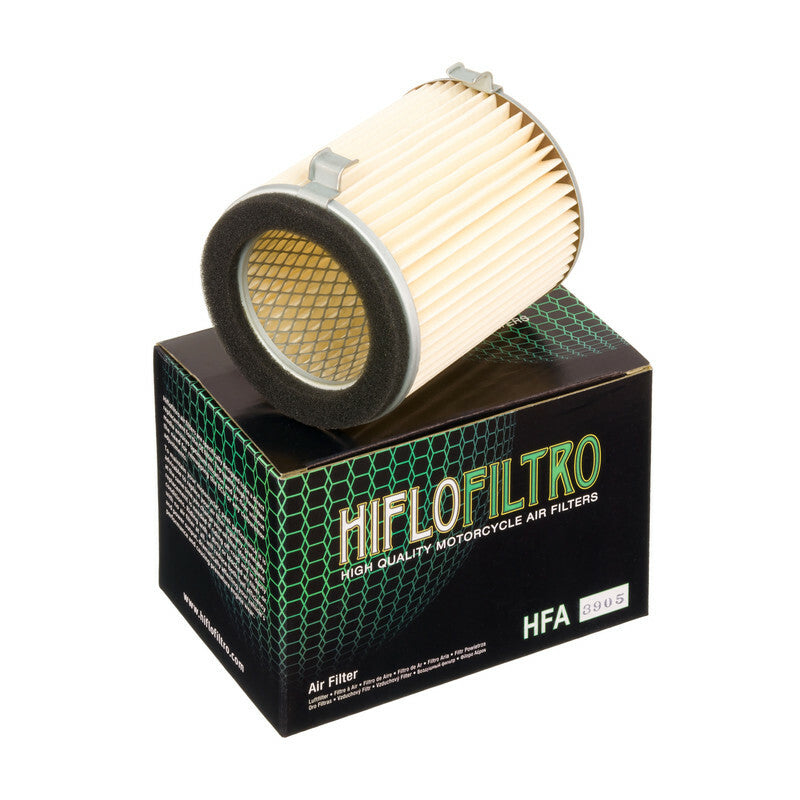 HIFLOFILTRO Air Filter - HFA3905 HFA3905