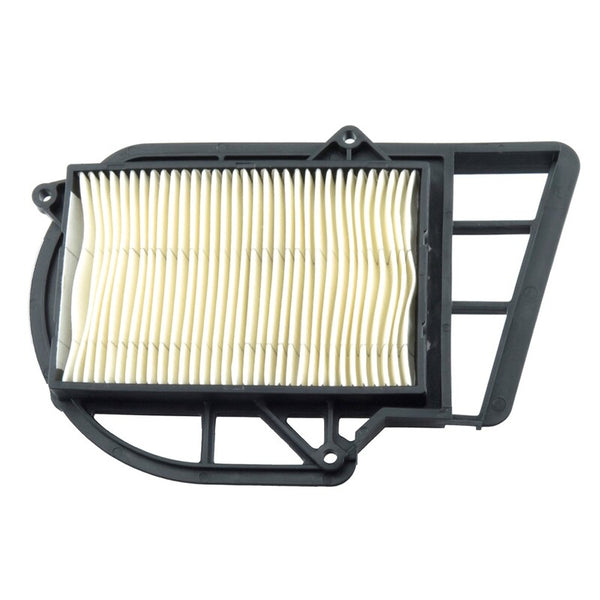 Tecnium Air Filter-MT201-OT311 MT201-OT311