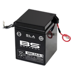 BS Battery SLA поддръжка на батерията БЕЗ