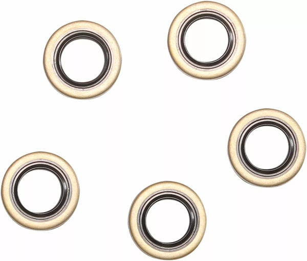 Кометично уплътнение DBL Lip 5pk C9350