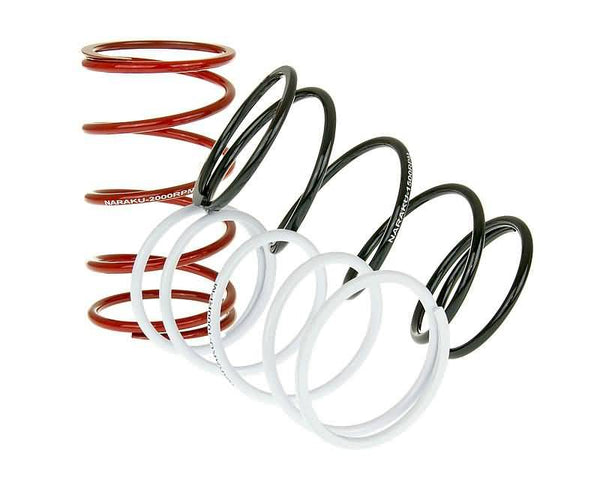 Naraku Trq Spring Set Sport-3PCS NK900.51