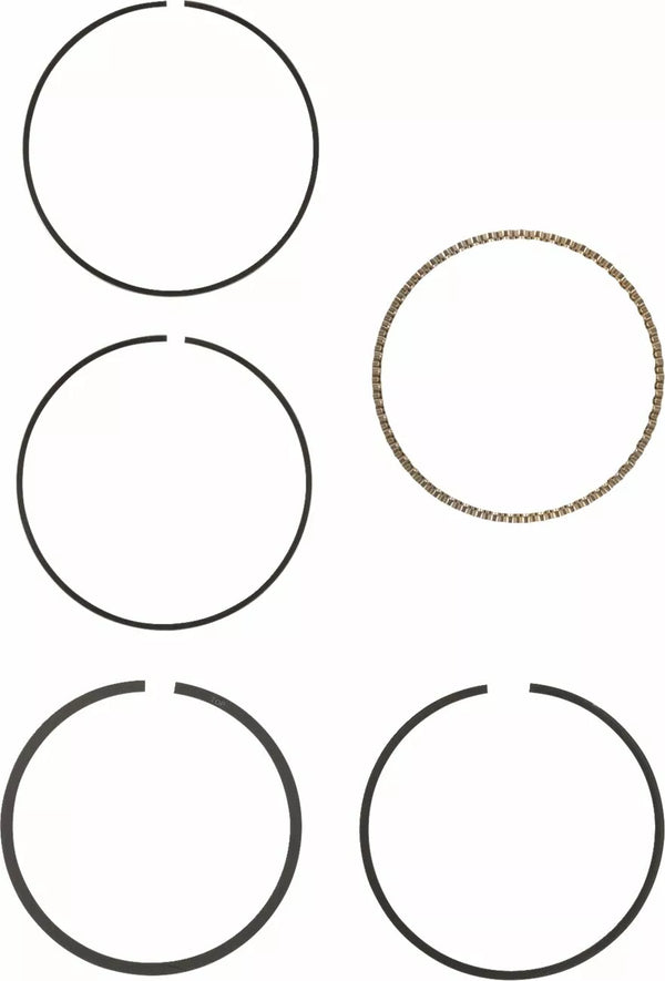 Hastings Rings STD EVO 883 WG1010327 | 2M6198