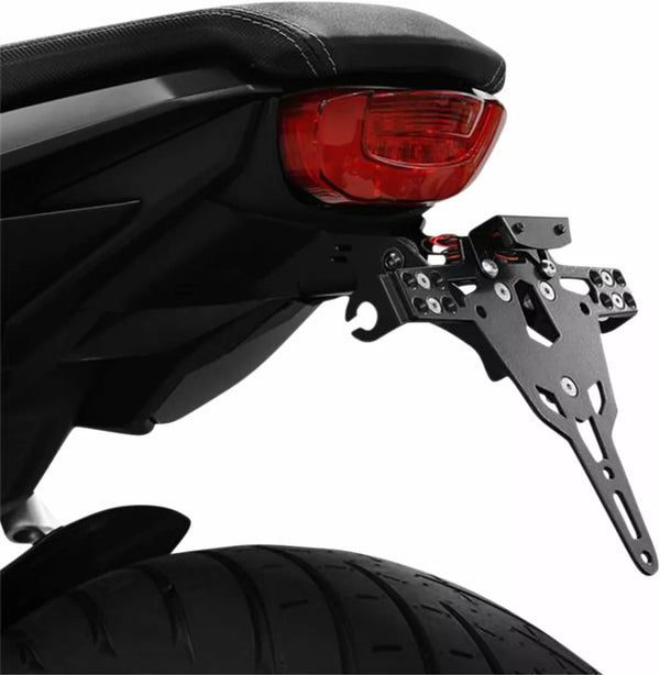 Zieger LCS PLT HLD Тип A CB650R 10008026