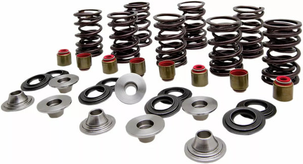 Kibblewhite Spring Kit Valve TI RZR 82-83400