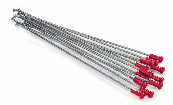 Кайт говори 19 RR SI /Re NIP 12pc 20.907.0.RO
