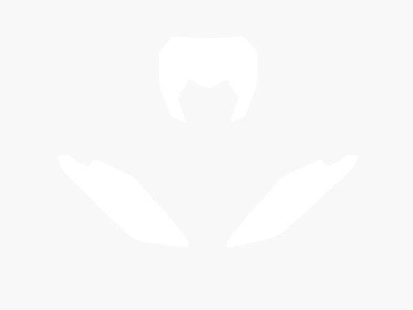 Стикери на Blackbird Plate White Fantic XX 3F00/000005