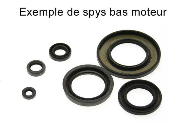 Centauro Engine Oil Seals 760A004SR