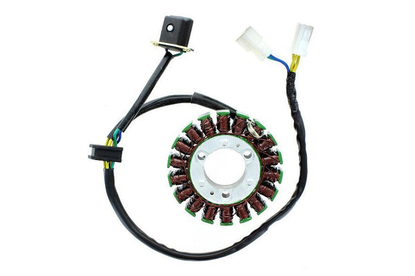 Electrosport Stor ESG 368 GV250 Aquila - EFI (09-13) ESG368
