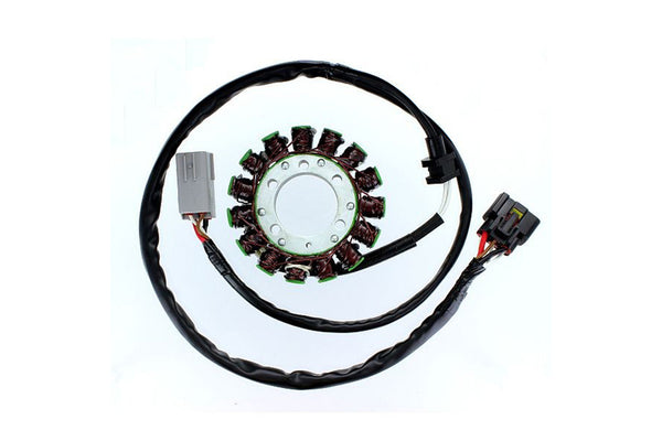 Electrosport Stor ESG549 Kawasaki VN 900, 06-15 ESG549