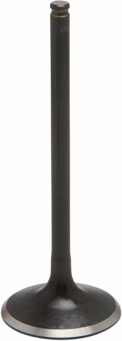 KibbleWhite Valve in Ninja 500 87-09 40-4190
