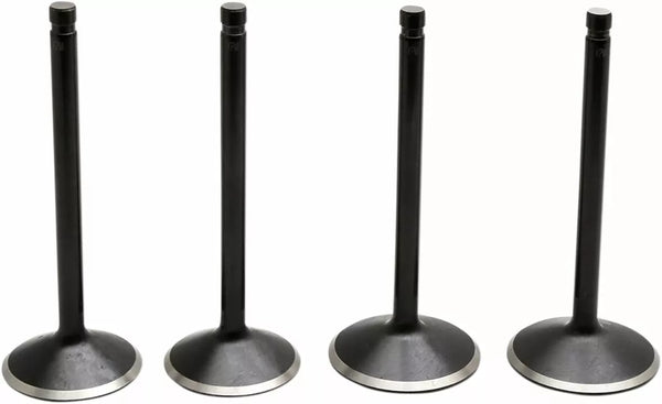 Kibblewhite Valve Kit 84-98 EVO 20-22600