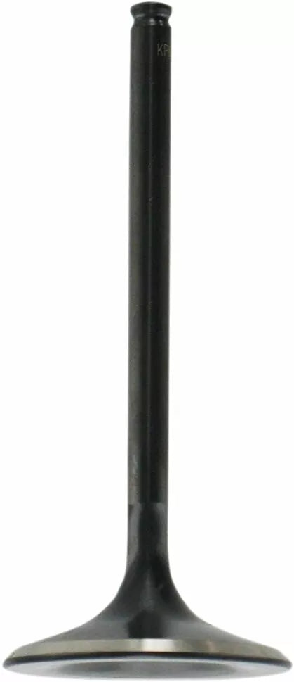 KibbleWhite Valve in STD 06-08TRX450R 30-30950