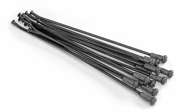 Кайт говори 19 RR BK / SI NI 12pc 20.907.1.SI