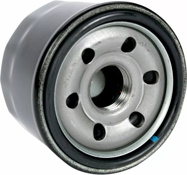 EMGO OIL FILTER RAPTOR 10-82250